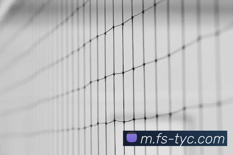 太阳城网站平台生态图